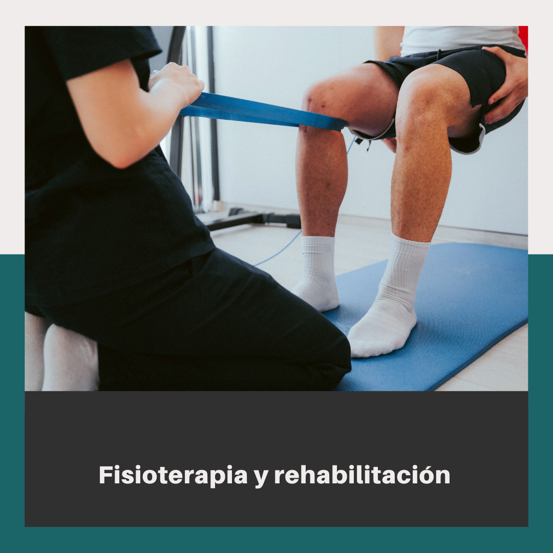 Fisioterapia y rehabilitación